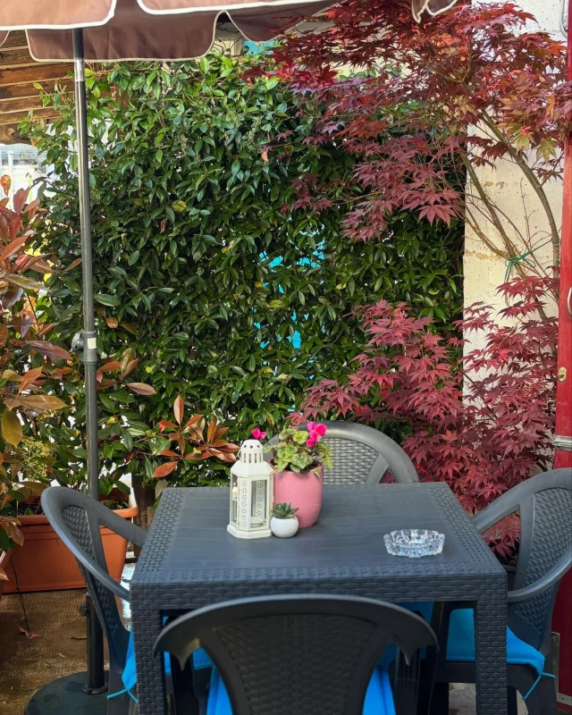 Buon 1° maggio a tutti! ☀️
Concediti un momento di pace…
Un angolo verde tutto per te 🌿, dove rilassarsi al sole ☀️ o sorseggiare un caffè in tranquillità ☕.
La corte dell’Appartamento Simona è pronta ad accoglierti! 🌷

#appartamentosimona #1maggio #cortedicasa #ospitalitàitaliana #castiglionedipepoli #relaxallariaaperta #slowtravel #accoglienzaconilcuore